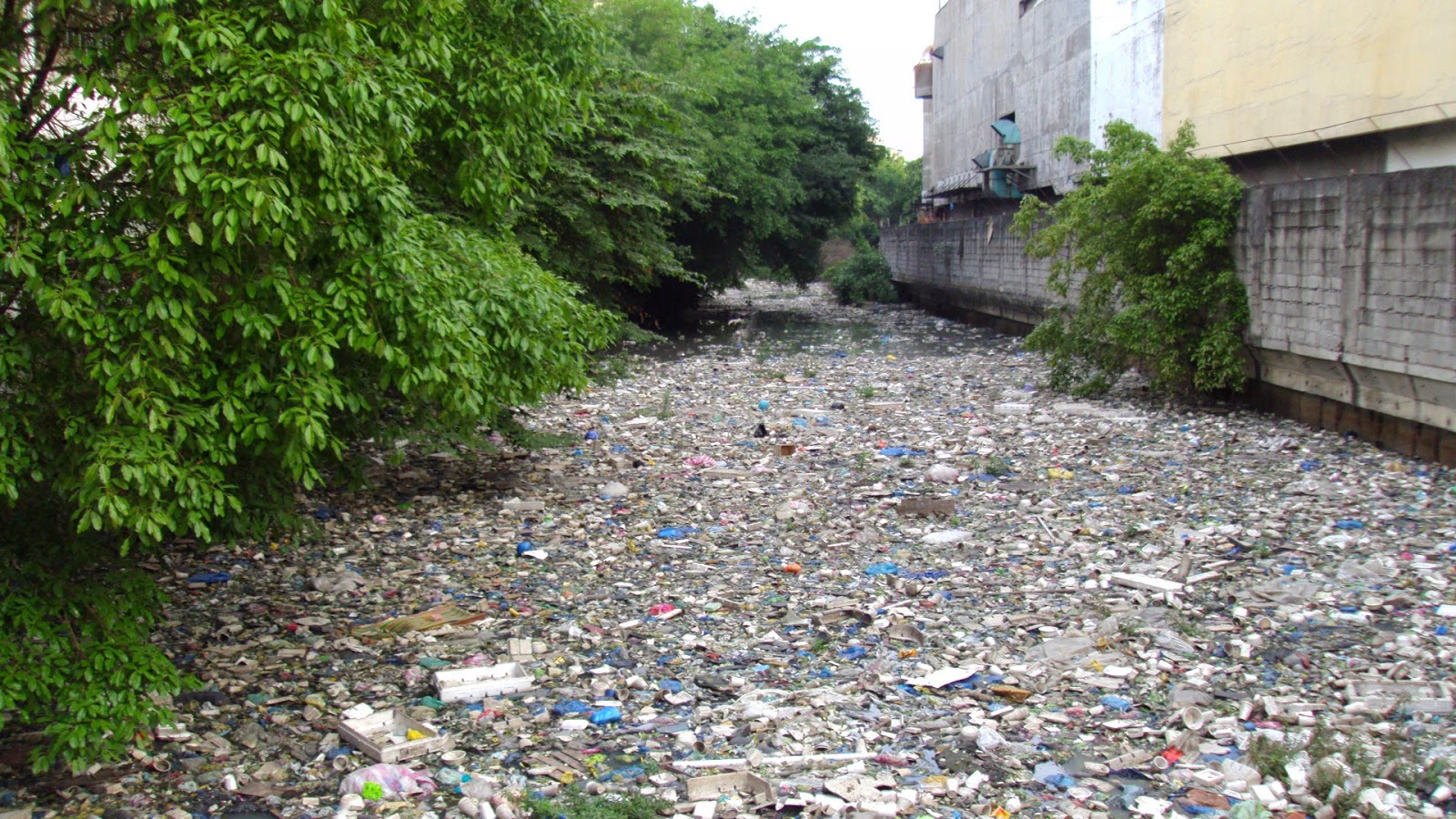 Water Pollution in the Philippines